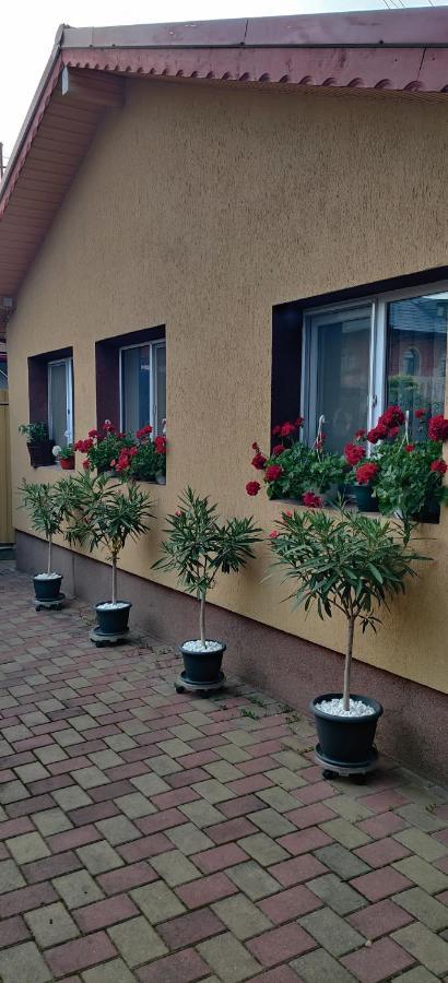 Ferienwohnung Cazare Buzau Exterior foto